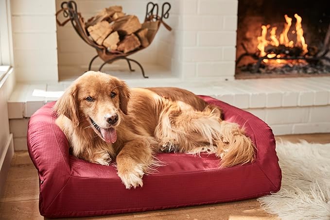 K9 Ballistics Tough Bolster Orthopedic Sofa Dog Bed with Removable Washable Cover - Durable, Water Resistant with Nonskid Bottom - Medium, Titanium Premium Finish