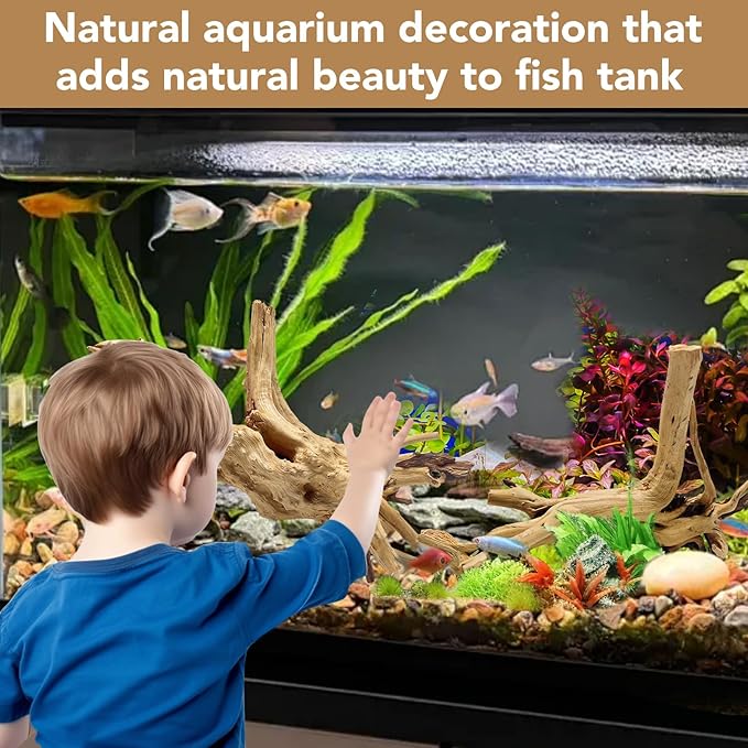 Natural Large Spiderwood Driftwood for Aquarium Decor Rptile Fish Tank Decoration Assort Branch 11-14'' 2 Pcs