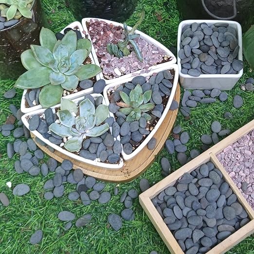 2.4lb River Rocks Pebbles for Plants & Succulents, Decorative Outdoor Landscaping & Aquarium Garden Rocks