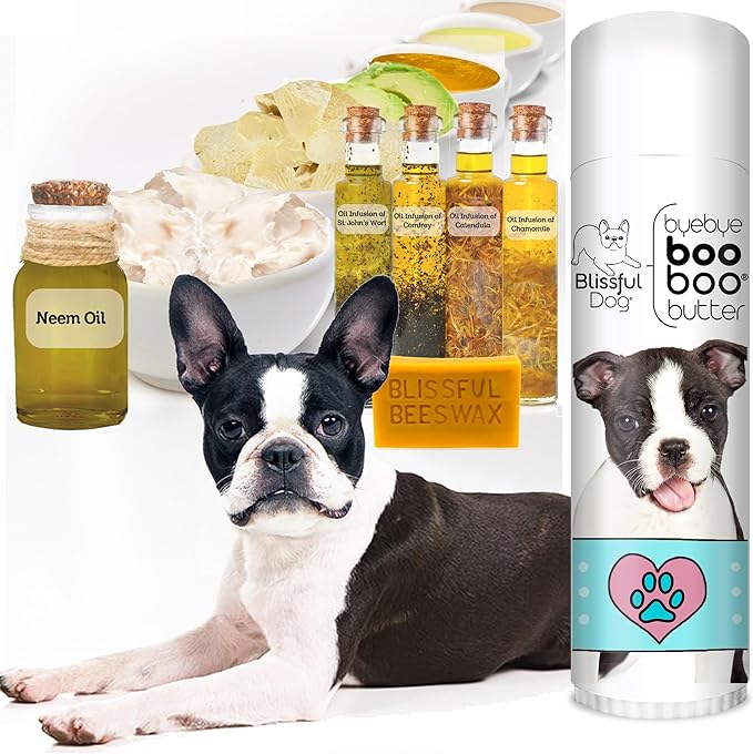 The Blissful Dog .50 oz Tube Boston Terrier Booboo Butter
