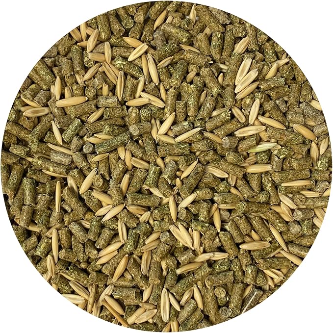 Exotic Nutrition Degu Diet (2.5lb) - Nutritionally Complete Healthy Pellet Diet with Whole Oats - for Domesticated Pet Degus