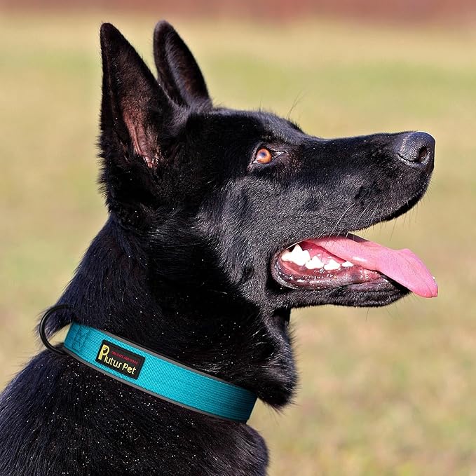 Plutus Pet Tactical Dog Collar, Reflective, Adjustable Heavy Duty Dog Collar, Soft Padded and Comfortable, for Small Medium and Large Dogs (Cyan, XL)