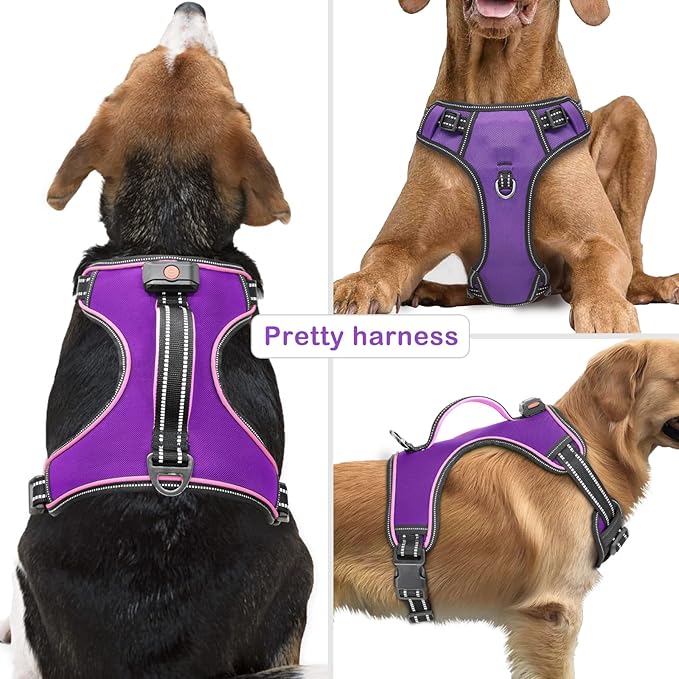 Light Up Dog Harness, No Pull LED Dog Harness with Handle, Rechargeable Lighted Safety Vest for Small Medium Large Dogs, Adjustable Soft Dog Lights for Night Walking