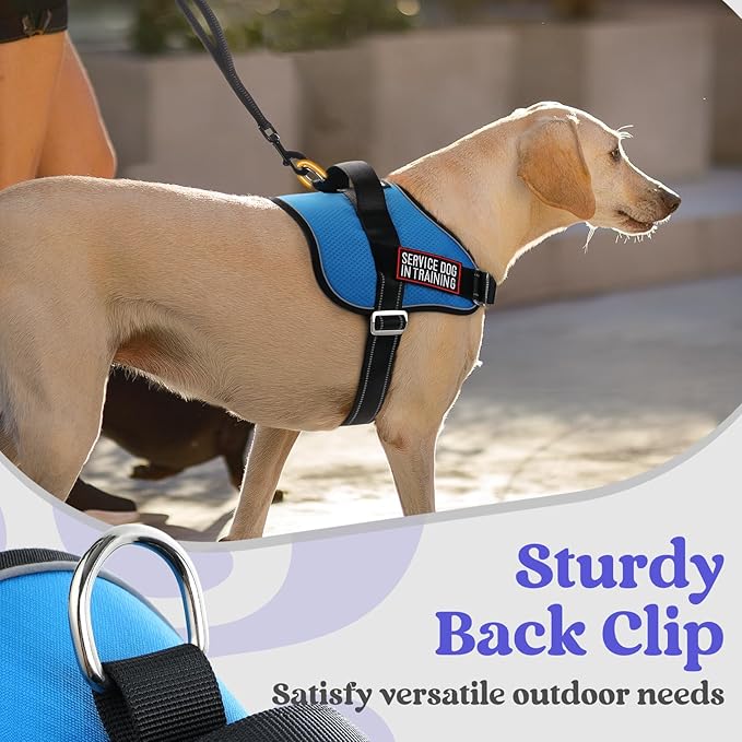 rabbitgoo Dog Harness for Small, Easy On Pet Vest with One Buckle, No Pull Adjustable Service Harness with D-Ring & Handle, Reflective for Safety Walking, Training, Blue, S