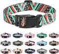 Mercano Adjustable Dog Collar - Special Design Patterns, Soft Nylon Comfortable Durable Pet Collar for Small Medium Large Dogs (L, Ethnic Green)