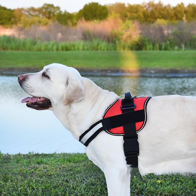 Dogline Dog Harness, Reflective No-Pull Adjustable Vest with Handle for Walking, Training, Service Breathable No - Choke Harness for Small, Medium or Large Dogs Room for Patches Girth 18 to 24 in Red