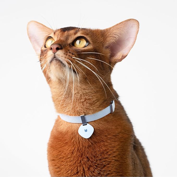 Safety Cat Collar and ID Tag Set - Elastic Quick Release, Non Breakaway Cat Collar Personalized Anodized Aluminum Engraved Pet Name Tag, Lightweight for Kitten Small Large Cats