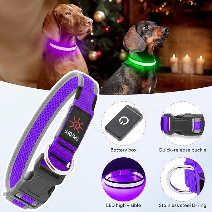 Flashseen LED Dog Collar, Light Up Dog Collar Light USB Rechargeable, Adjustable Comfortable Soft Mesh Safety Collar for Small, Medium, Large Dogs(Large, Purple)
