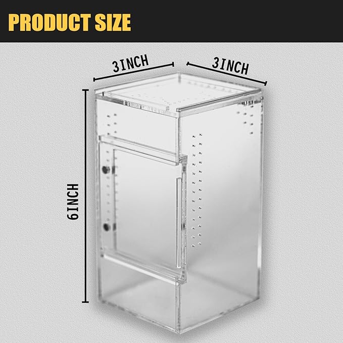 Small Reptile Terrarium – Jumping Spider Enclosure with Water-Holding Design – Spider & Tarantula Enclosure, Praying Mantis Habitat, Reptile Enclosure & Accessories