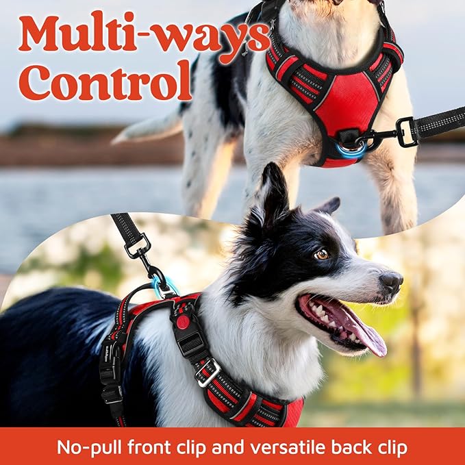 rabbitgoo Dog Harness for Large Dogs, No Pull Pet Vest with 3 Buckles, Adjustable Soft Padded Pet Harness with Easy Control Handle and Reflective Strips, Red, XL