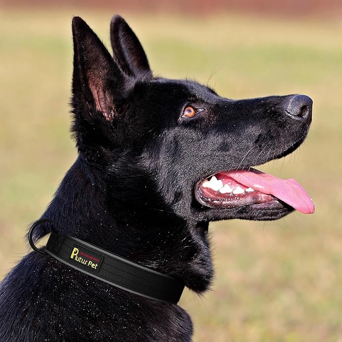 Plutus Pet Tactical Dog Collar, Reflective, Adjustable Heavy Duty Dog Collar, Soft Padded and Comfortable, for Small Medium and Large Dogs (Black, S)