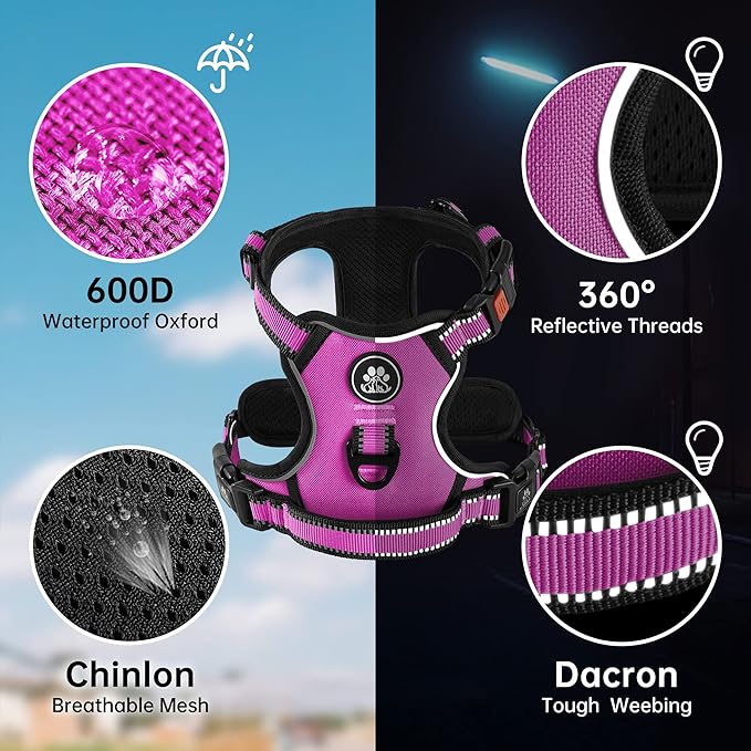 NESTROAD No Pull Dog Harness,Adjustable Oxford Dog Vest Harness with Leash,Reflective No-Choke Pet Harness with Easy Control Soft Handle for Small Medium Dogs(Medium,Fuchsia Pink)