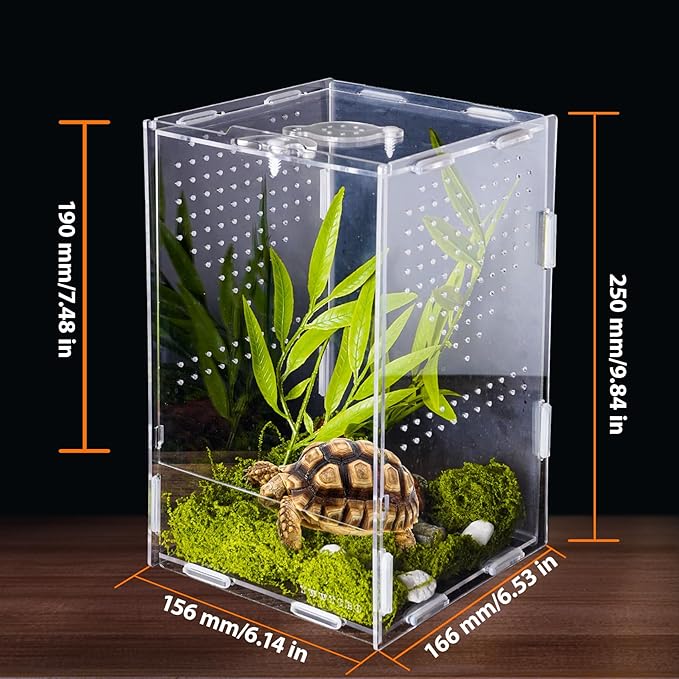 Jumping Spider Enclosure, Acrylic Insect Terrarium, Bug Enclosure, Reptile Cage, Mantis Habitat, Arboreal Tarantula Enclosure, Snake Terrarium Kit, Scorpion Lizard Tank