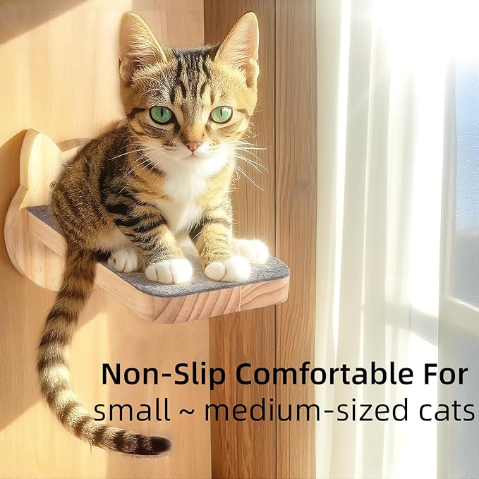 ESPETS Natural Solid Wood Cat Wall Floating Steps Set of 3 - Wall Mounted Wooden Cat Climbing Shelves and Perches, Kittty Stairs Ladder - Easy Install, Holds up 30lbs