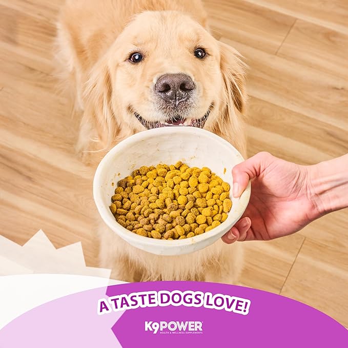 K9 Power Digest Forte for Dogs 1lb – Digestive, Immunity & Calming Support - Enhances Nutrient Absorption - Balances Gut Flora - Eases Discomfort & Boost Mood - Pack of 2