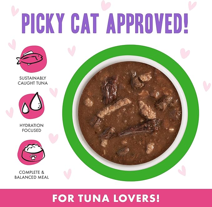 Weruva B.F.F. OMG - Best Feline Friend Oh My Gravy!, Tuna & Lamb Lights Out with Tuna & Lamb, 2.8oz Can (Pack of 12)