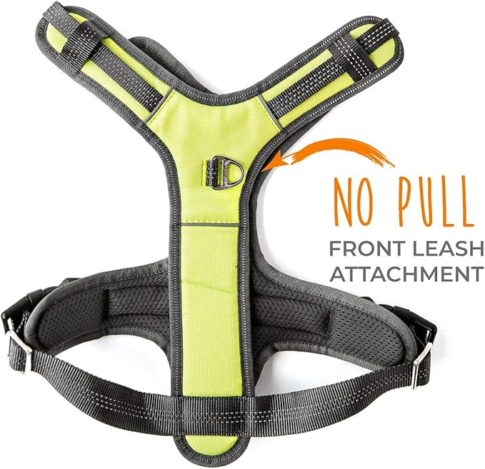 Mighty Paw Sport Harness 2.0 - Padded Canine Accessory - Adjustable Neck and Chest Straps - Enhanced Visibility with Reflective Stitching - Dog Padded Harness with Handle - Large - Green