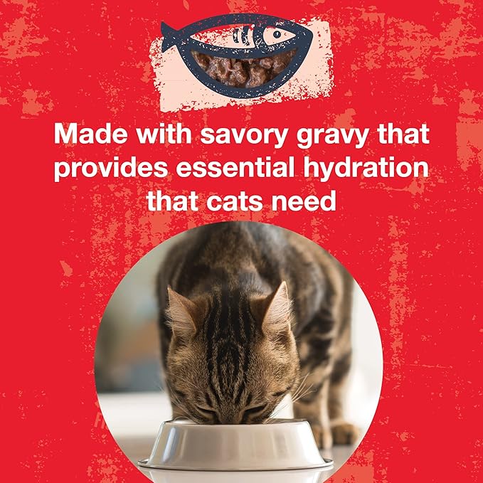 KOHA Poké Bowl Tuna & Beef Entree in Gravy for Cats, 12-Pack of 3oz Pouches