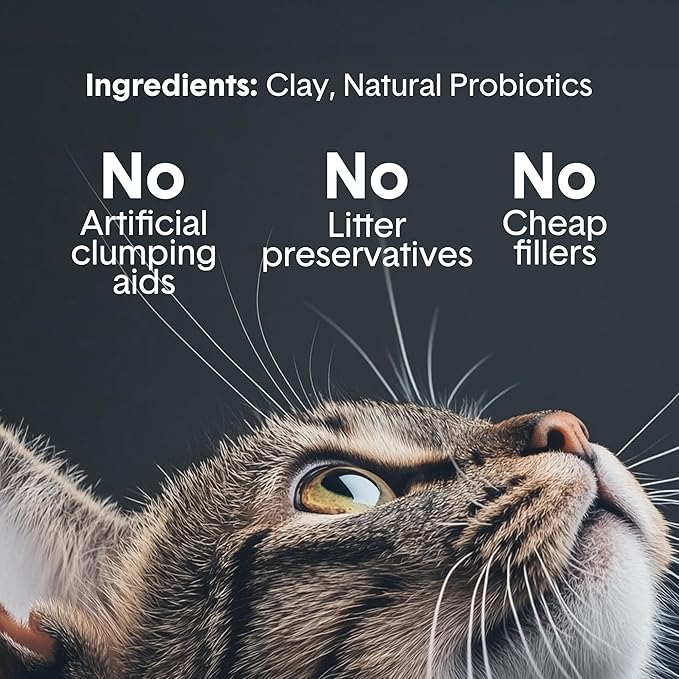 Boxie® Probiotic Cat Litter 40 Day Natural Odor Control, 16lb Clumping Kitty Litter (Clay)
