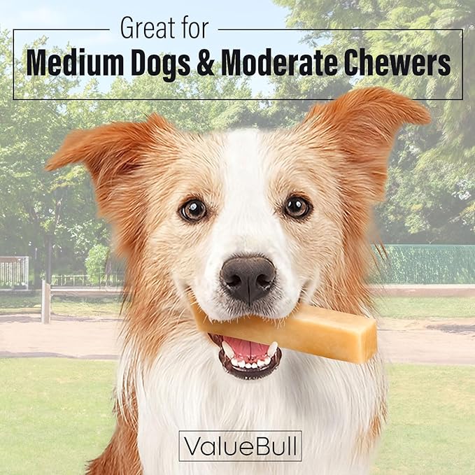 ValueBull Himalayan Yak Cheese Dog Chews, Medium, 10 ct - Long Lasting for Aggressive Chewers, All Natural, Healthy & Safe, Low Odor Nepal Yak Milk Chews