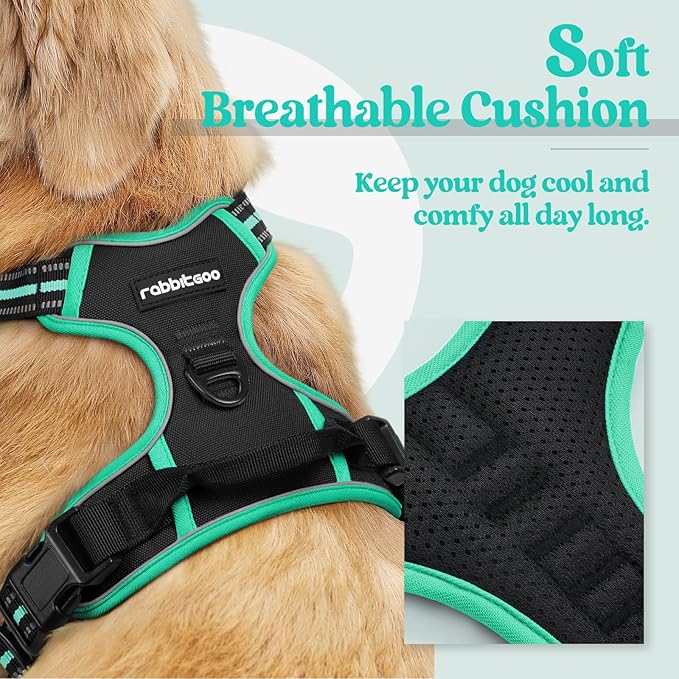 rabbitgoo Dog Harness No Pull with 2 Leash Clips, Adjustable Soft Padded, Reflective Oxford No Choke Pet Vest with Easy Control Handle for Medium Sized Dogs, Black & Turquoise, M