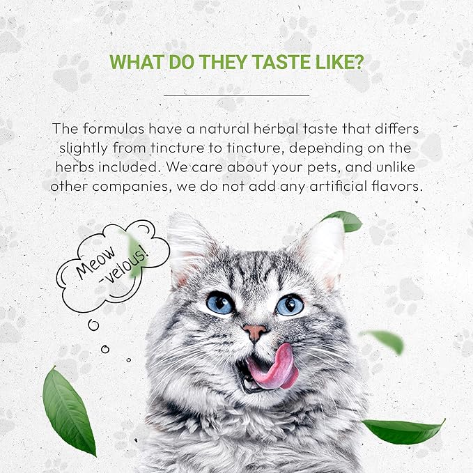 Lion's Immune Boost | Natural Herbal Dietary Supplement | Immune Support in Cats | Alcohol-Free Extract, Elder Flowers, Calendula, Dandelion Root, Lemon Balm, Fennel 2 oz