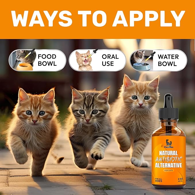 Cat Antibiotic to Help with Cough & Allergies – Antibiotics for Cats to Aid with UTIs and Digestive Moments – HIPS & Joints Support – Attractive Chicken Taste – 2 Oz Bottle