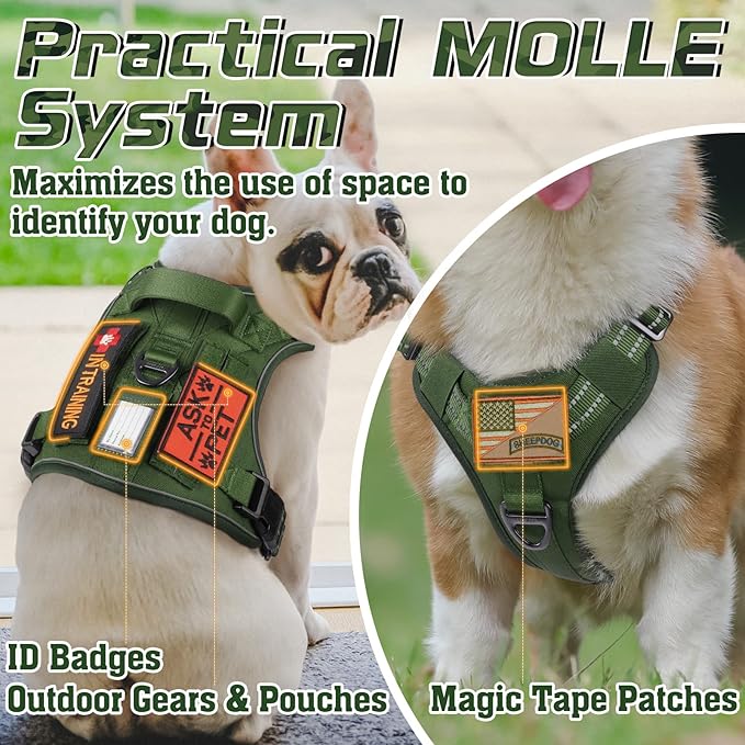 rabbitgoo Tactical Dog Harness for Small Dogs, No Pull Military Service Vest with Handle & Molle, Easy Control for Training Walking, Adjustable Reflective Straps, Green, S