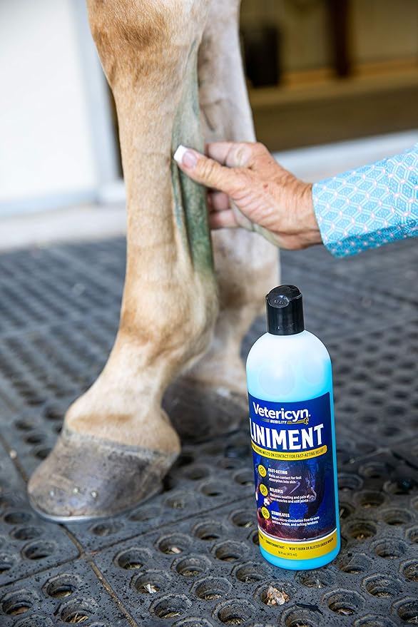Vetericyn Mobility Equine Liniment for Fast-Acting Relief of Muscles and Joints – Menthol-Based Topical Analgesic for Horses – 16 Ounces