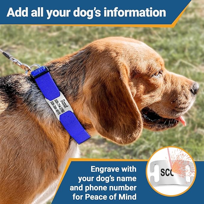 GoTags Personalized Dog Collar with Nameplate, Adjustable Dog Collar with Custom Engraved Slide On Pet ID Tag in Stainless Steel, Silent, No Noise Dog Tag (Light Gray, Medium)