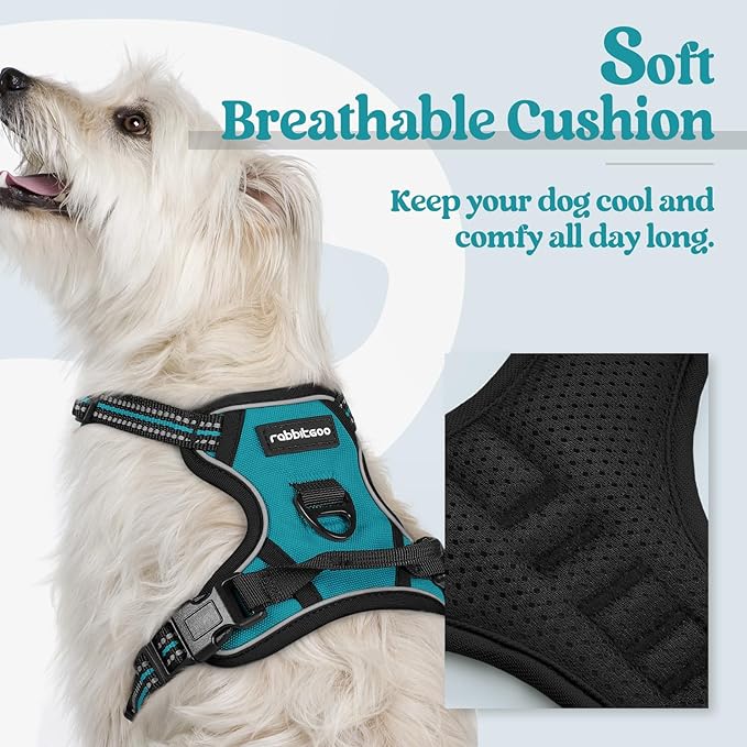 rabbitgoo Dog Harness No Pull with 2 Leash Clips, Adjustable Soft Padded, Reflective Oxford No Choke Pet Vest with Easy Control Handle for Puppy, Teal, XS