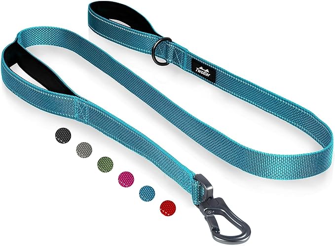 TwoEar 4FT 1IN Strong Blue Dog Leash with 2 Padded Handles, Traffic Handle Extra Control, Comfortable Soft Dual Handle, Auto Lock Hook, Reflective Walking Lead for Small Medium and Large Dogs