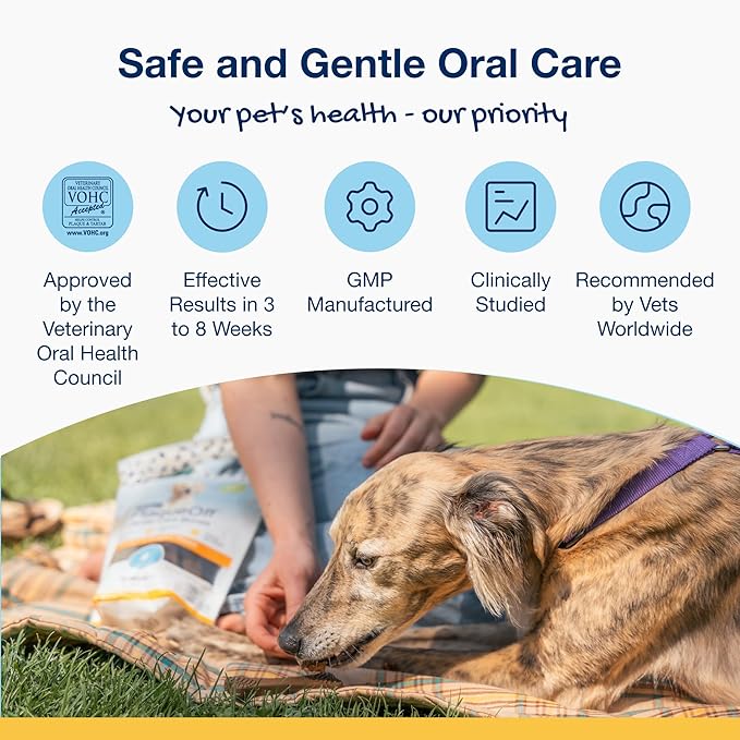 Proden PlaqueOff Sytem Mini Dental Care Bones - Peanut Butter Banana - 12 oz, Brown