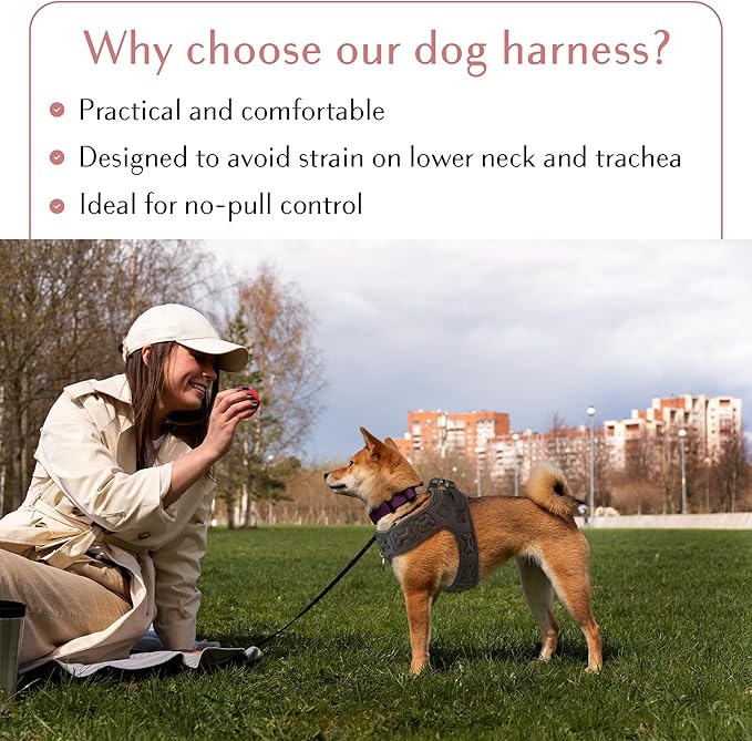 Comfort fit Step-in Dog & Puppy Harness - Comfortable All Weather Dog Vest Harness: Adjustable, Soft Padded, Easy to Put-on for Small, Medium-Sized Dogs.