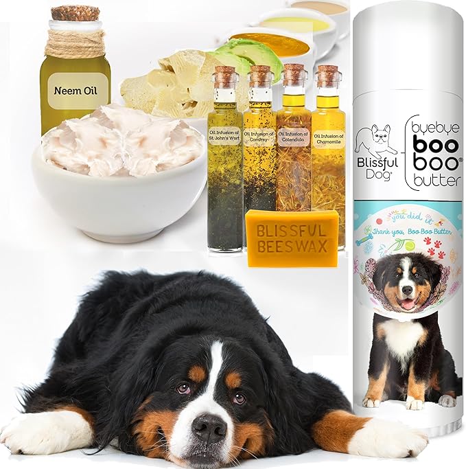 The Blissful Dog .50 oz Tube Bernese Mountain Dog Booboo Butter