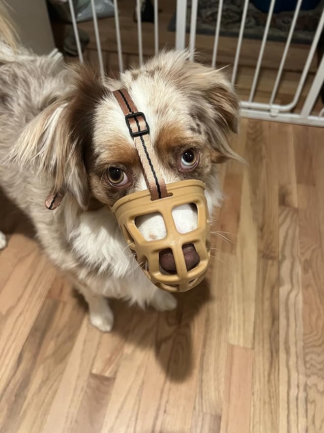 Mayerzon Dog Muzzle, Breathable Basket Muzzles for Small, Medium, Large and X-Large Aggressive Dogs Beagle German Shepherd Doberman, Cage Mouth Guard Stop Biting Chewing for Grooming Training