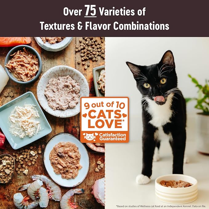 Wellness CORE Tiny Tasters Pate Adult Wet Cat Food, Natural, Protein-Rich, Grain Free, 1.75 Ounce Pouch, 12 Pack (Tuna)