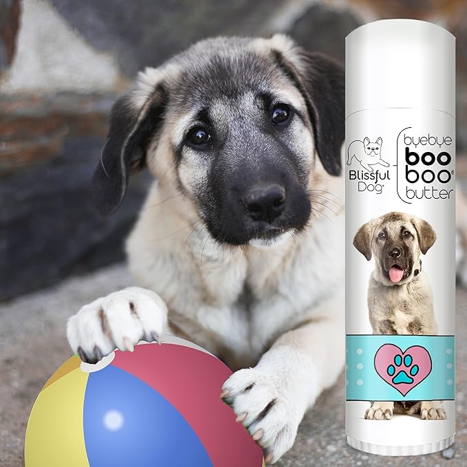 The Blissful Dog Anatolian Shepherd Boo Boo Butter, 0.50 Ounce