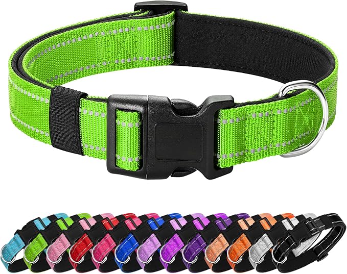 Reflective Dog Collar Padded with Soft Neoprene Breathable Quick Release Basic Dog Collars for Puppy Small Dogs Girl Green