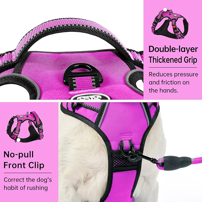 IVY&LANE No Pull Dog Harness for Medium Dogs,Dog Vest Harness with Leash,Safety Belt and Storage Strap, Fully Adjustable Harness,360° Reflective Strip,Soft Handle (Fuchsia Pink,M)
