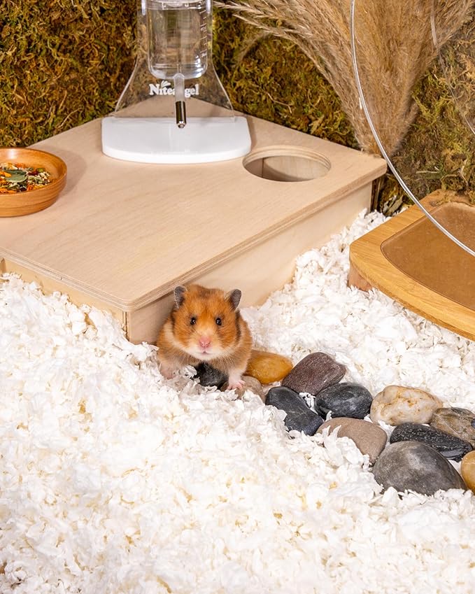 Niteangel Aspen Shaving Hamster Beddings for Syrian Dwarf Hamster Gerbil Mice Degu Rat Rabbit Bunny Guinea Pig Chinchilla Hedgehog or Other Small Pets (36L - White Paper Bedding)