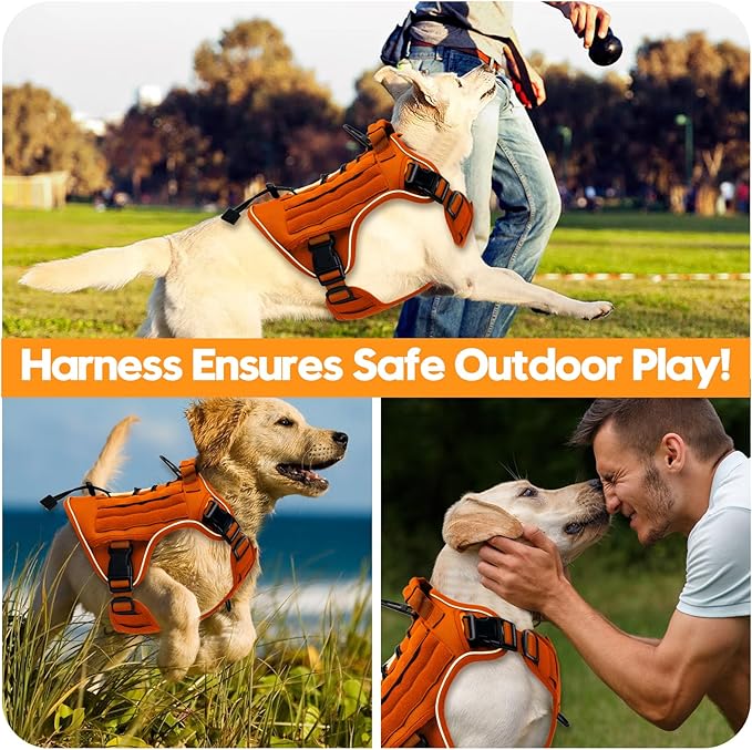 Heavy-Duty Tactical Dog Harness for Large Dogs, No Pull Adjustable Reflective Pet Vest with Molle System, K9 Military-Grade Control for Service Training, Outdoor & 10+ Breeds, Orange, XX-Large