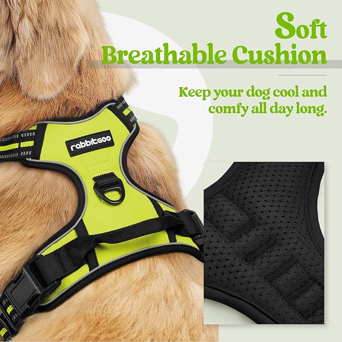 rabbitgoo Dog Harness No Pull with 2 Leash Clips, Adjustable Soft Padded, Reflective Oxford No Choke Pet Vest with Easy Control Handle for Large Dogs, Green, L