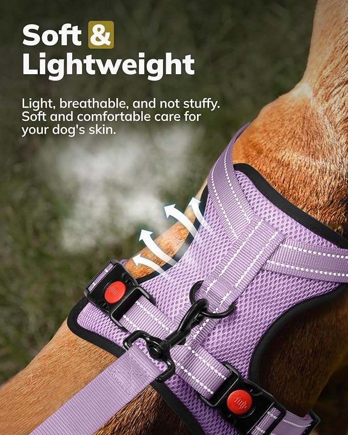 MIDOG No-Pull Dog Harness | Adjustable & Reflective Pet Harness Leash Set for Small Medium Large Dogs Walking, Training| No Choke, Front Clip, Soft Padded Vest with Easy Control Handle - Purple, M