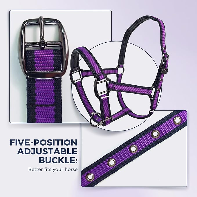 JWODVNTH Adjustable Horse Halter with PP Webbing, Durable Horse Halters with Zinc Alloy Hardware, Horses Training Equipment to Prevent Friction for Training, Competitions ＆ Daily