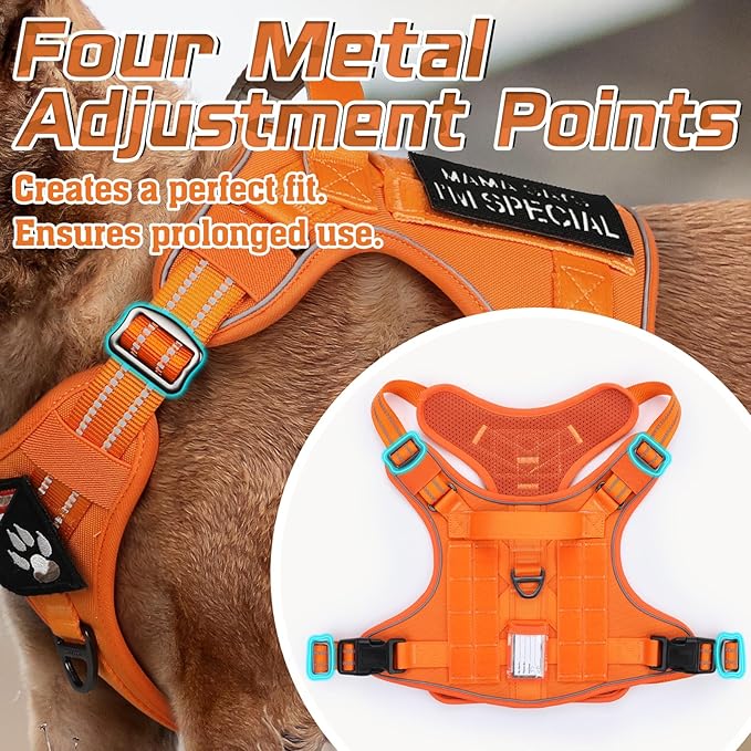 rabbitgoo Tactical Dog Harness for Small Dogs, No Pull Military Service Vest with Handle & Molle, Easy Control for Training Walking, Adjustable Reflective Straps, Orange, S