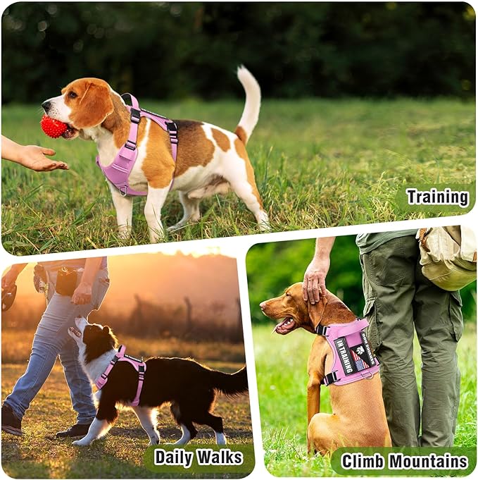 WINSEE Service Dog in Training Harness with 5 PCS Patches, Reflective Tactical Dog Vest Harness, Adjustable Soft Oxford Pet Harness with Easy Control Handle, Hook & Loop Panels for Walking Hiking