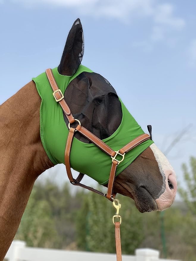 Horse Fly Mask Super Comfort Horse Fly Mask Elasticity Fly Mask with Ears We Only Make Products That Horses Like… (Hunter Green, M)