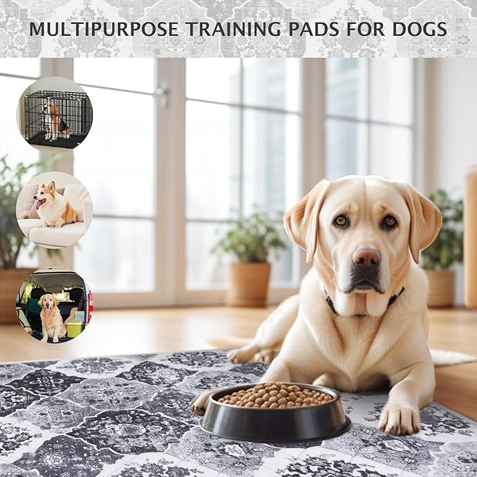 IEUUMLER Washable Pee Pads for Dogs, 2 Pack Reusable Pee Pads for Dogs Non-Slip Grip, Super Absorbent Waterproof Puppy Pads for Potty Training, Playpen, Crate, Whelping Box EU011 Black Grey, 36x41