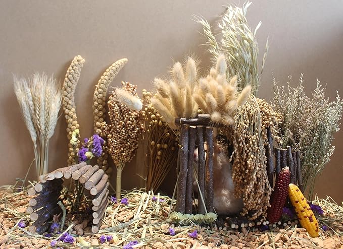 Natural Hamster Bedding - Flowers, Herbs, Sprays, Treat Cereal Grain for Cage Habitat Enclosure Decor - Hamster Chews for Dwarf Syrian Gerbils, Mice, Rat Forage - Pet Accessories